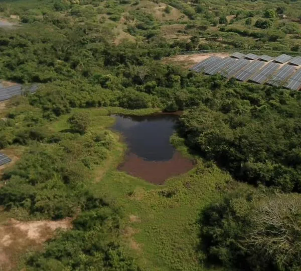 Bancolombia participa en financiación para compra de activos renovables de ISAGEN