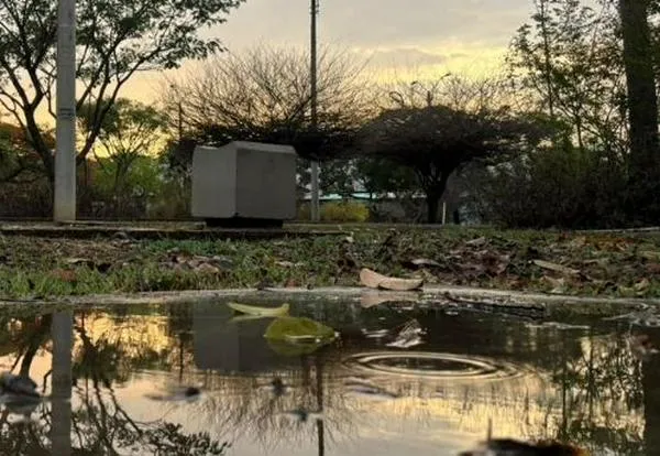 ¿Por qué llueve en Cali pese al fenómeno de El Niño? Esto explica Gestión del Riesgo
