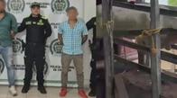 ¡Golpe a los cuatreros! Tras persecución por carreteras del Cesar, Policía recupera 58 reses robadas; cinco capturados
