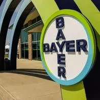 Bayer lanza nuevas soluciones agrícolas y desarrolla semillas innovadoras