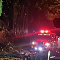 En Bogotá, árbol cayó sobre un carro y tumbó cableado en la calle 163
