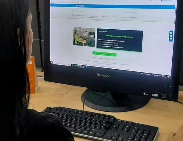 Estos son los pasos para consultar y pagar multas de tránsito en Bogotá 