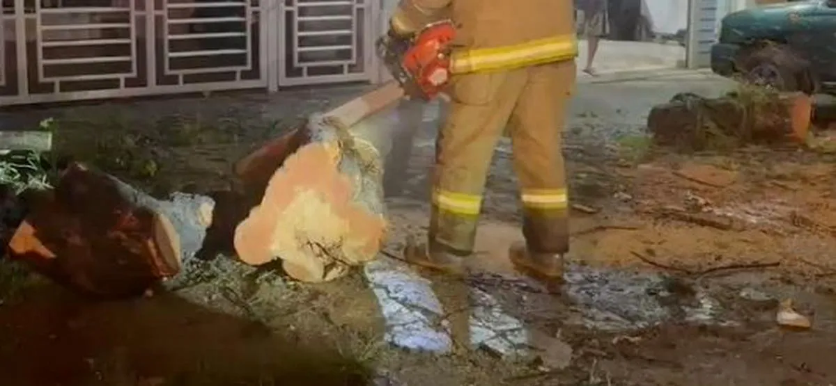 Fuertes lluvias en Jamundí dejan barrios inundados, árboles caídos y viviendas afectadas
