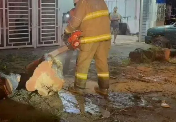 Fuertes lluvias en Jamundí dejan barrios inundados, árboles caídos y viviendas afectadas