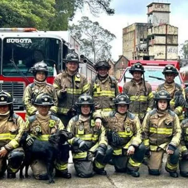 El Ministerio del Interior denunció irregularidades en contratos de la Dirección de Bomberos por $62.000 millones, salpicando a cuatro empresas. 