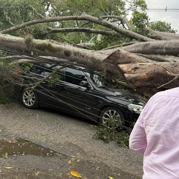 Carro de Nicolás Hernández