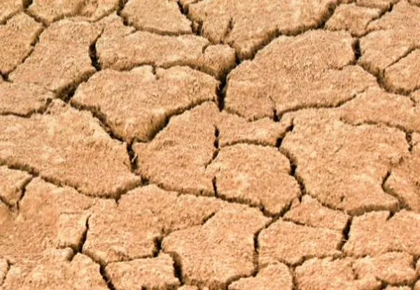 Ideam declara oficialmente el fenómeno de El Niño en Colombia: ¿qué se espera?