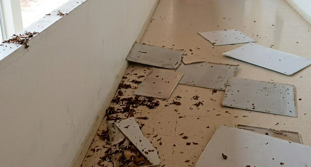 Temblor hoy de magnitud 8,0 en Panamá se sintió en Colombia duramente