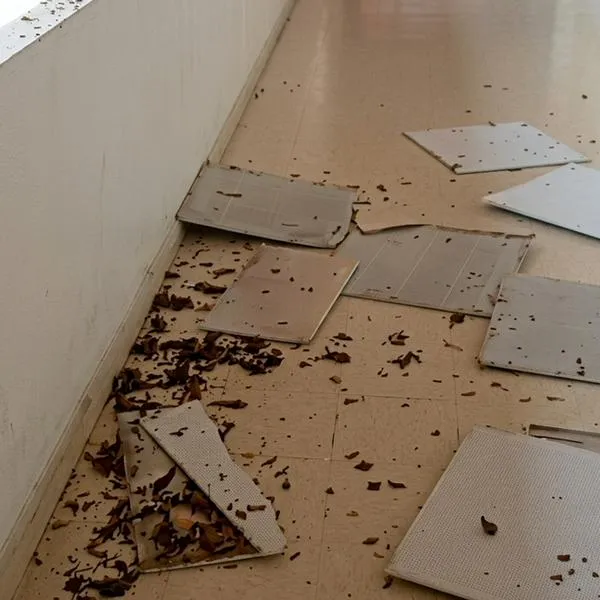 Temblor hoy de magnitud 8,0 en Panamá se sintió en Colombia duramente