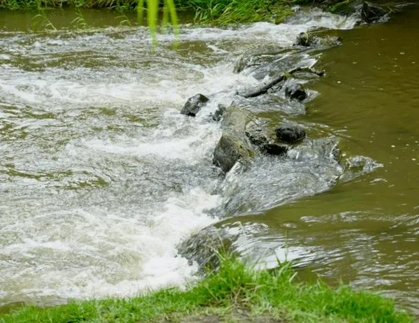 "Lluvias de octubre y noviembre no recuperarán las cuencas, es la última opción para almacenar agua": CAR Cundinamarca 