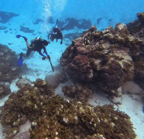 Las “bibliotecas” del pasado que buscan los científicos bajo el mar Caribe colombiano
