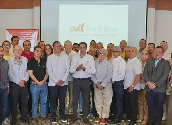 El Movimiento clave del Tolima para impulsar su economía