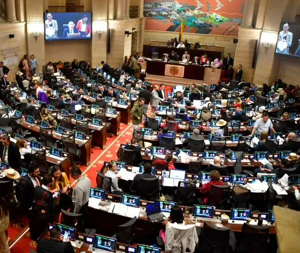 Presupuesto 2027 y control político a ICBF y sector Ambiente: esta es la agenda del Congreso