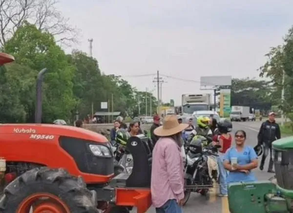 ¿Habrá paro arrocero en Colombia? Esto reveló el gremio