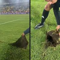 Grama de estadio El Campín