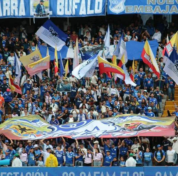 Hinchas de Millonarios