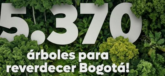 Bogotá impulsa la siembra de más de 5.300 árboles en espacios estratégicos para fortalecer zonas verdes urbanas