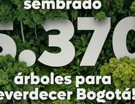 ¡Bogotá es cada vez más verde! El Acueducto ha sembrado más de 5.300 árboles este año 