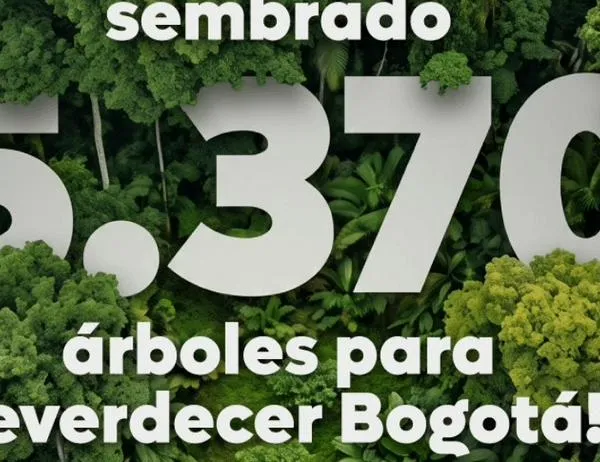¡Bogotá es cada vez más verde! El Acueducto ha sembrado más de 5.300 árboles este año 