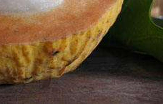 El santol, la fruta asiática de sabor entre dulce y ácido que comienza a cultivarse en regiones tropicales de Colombia