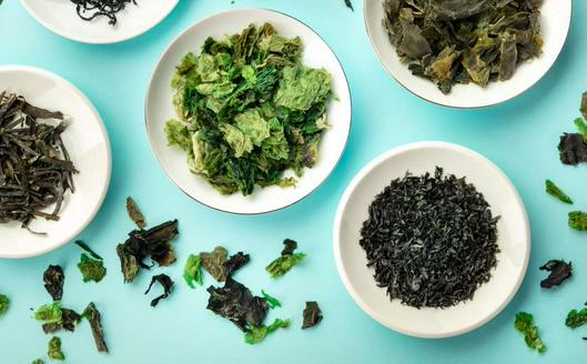 El papel de las algas en la alimentación: aportes nutricionales y precauciones para su consumo global