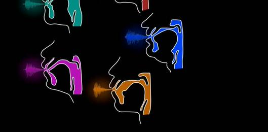 La anatomía individual del tracto vocal determina diferencias en la pronunciación de vocales, según nuevo estudio internacional