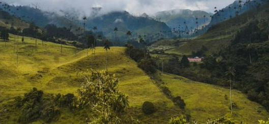 Encuentro Departamental de Turismo de Naturaleza en la UAO impulsa alianzas y sostenibilidad en el Valle del Cauca