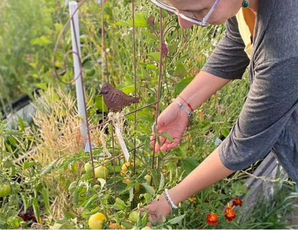 Descubre lo que revelan las plantas sobre las antiguas civilizaciones en taller gratis en Maloka 