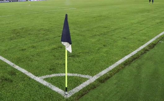 Conciertos y fútbol en El Campín: investigaciones por daños en la gramilla y suspensión de eventos en Bogotá