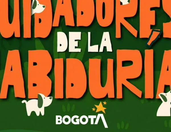 Bogotá lanza programa interinstitucional de perros de terapia para el bienestar de personas mayores 