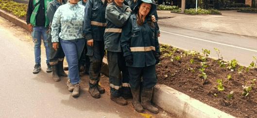 Jardín Botánico de Bogotá reimplanta coberturas vegetales en Chapinero y llama al cuidado ciudadano de los jardines urbanos