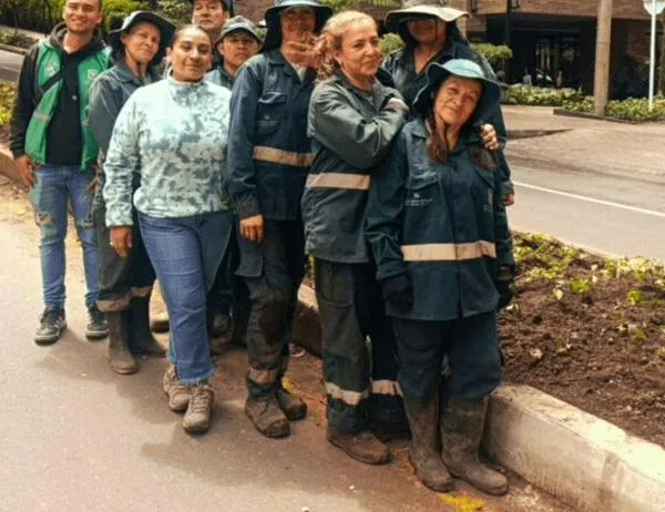 Jardín Botánico de Bogotá transformó separador y andenes de la calle 85 con nuevas plantas 
