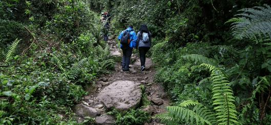 Agendamiento obligatorio para visitar los senderos ecológicos de Bogotá: así funciona el acceso y registro en cerros orientales