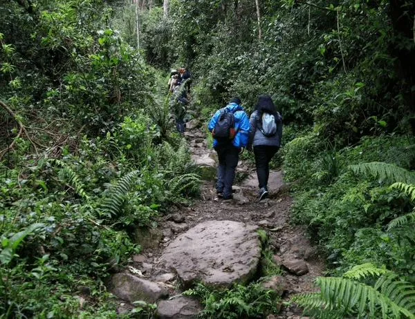 ¿Pueden ingresar menores de edad a los senderos ecológicos de Bogotá? Conoce los requisitos  