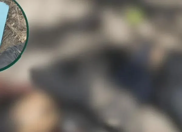 ¿Qué hay detrás? Un panfleto y unas muertes asustan al Tolima