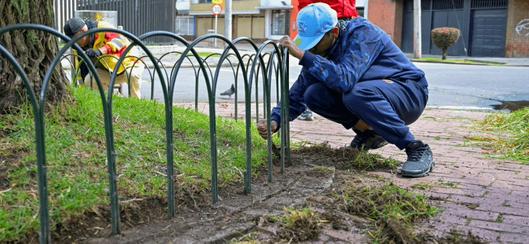 Alternativa pedagógica para pagar comparendos de convivencia tipo 1 o 2 en Bogotá: requisitos y proceso