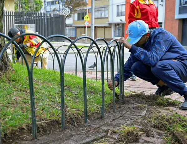 ¿Le pusieron un comparendo de convivencia? Salde la deuda con una actividad pedagógica 