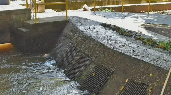 Emdupar informó a qué hora llegará el servicio de agua tras las fuertes lluvias