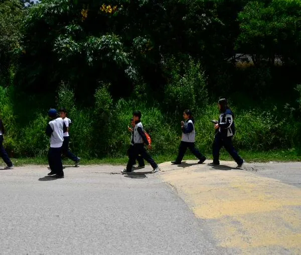 Explosivos y combates: algunos casos que ponen en riesgo la educación de niños en Colombia 