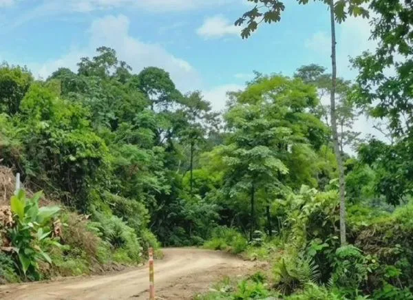 Triple homicidio en el Tolima: esta es la identidad de las víctimas