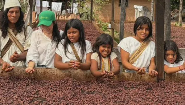 El cacao del Cesar conquista mercados internacionales