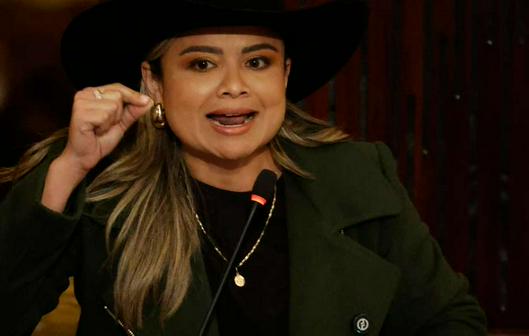 Procuraduría investiga a Lina Garrido, directora de la Agencia Nacional de Tierras, por presuntas irregularidades en certificaciones de experiencia