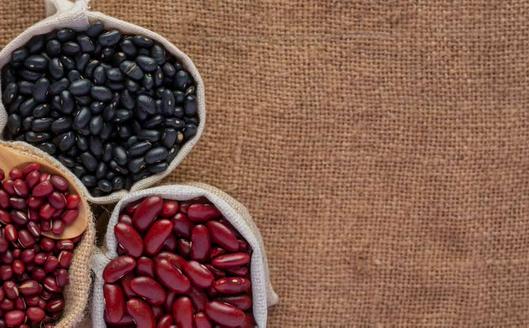 El frijol ayocote: origen, características y presencia en la biodiversidad agrícola de México y Colombia