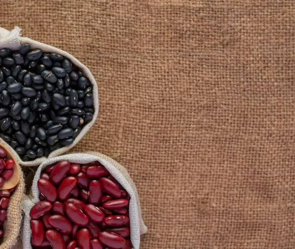 ¿Para qué sirven los ayacotes, una de las variedades de frijoles más curiosas?