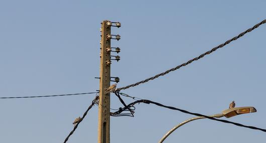 Niña salió a buscar a su gato y murió electrocutada; vecinos dicen que habían alertado del peligro
