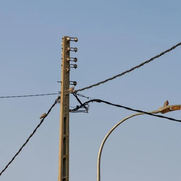 Niña salió a buscar a su gato y murió electrocutada, en Barranquilla: qué pasó