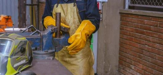 SENA realizará jornada nacional de empleo con más de 24.000 vacantes y talleres en municipios y ciudades del país