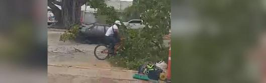 Ciclista se salva de accidente tras caída de rama durante simulacro de emergencias en Valledupar