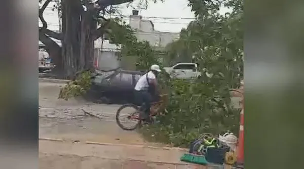 Video: ciclista estuvo a punto de ser golpeado por una rama durante simulacro en Valledupar
