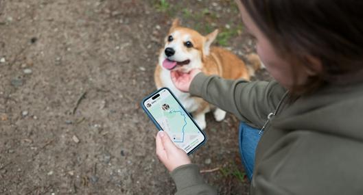 Encontrar a un perro perdido puede ser una pesadilla: 3 rastreadores GPS sin mensualidades